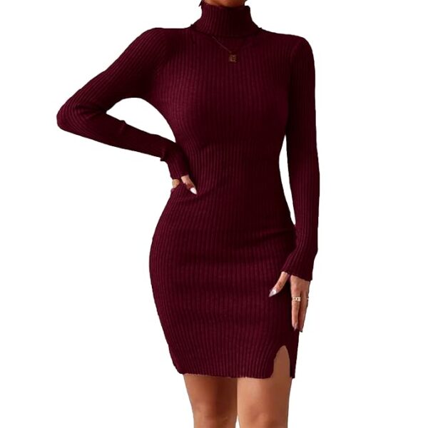 GLARE & BLAIR Solid Turtle Neck Regular Fit Casual Ribbed Knit Long Sleeve Bodycon Dress